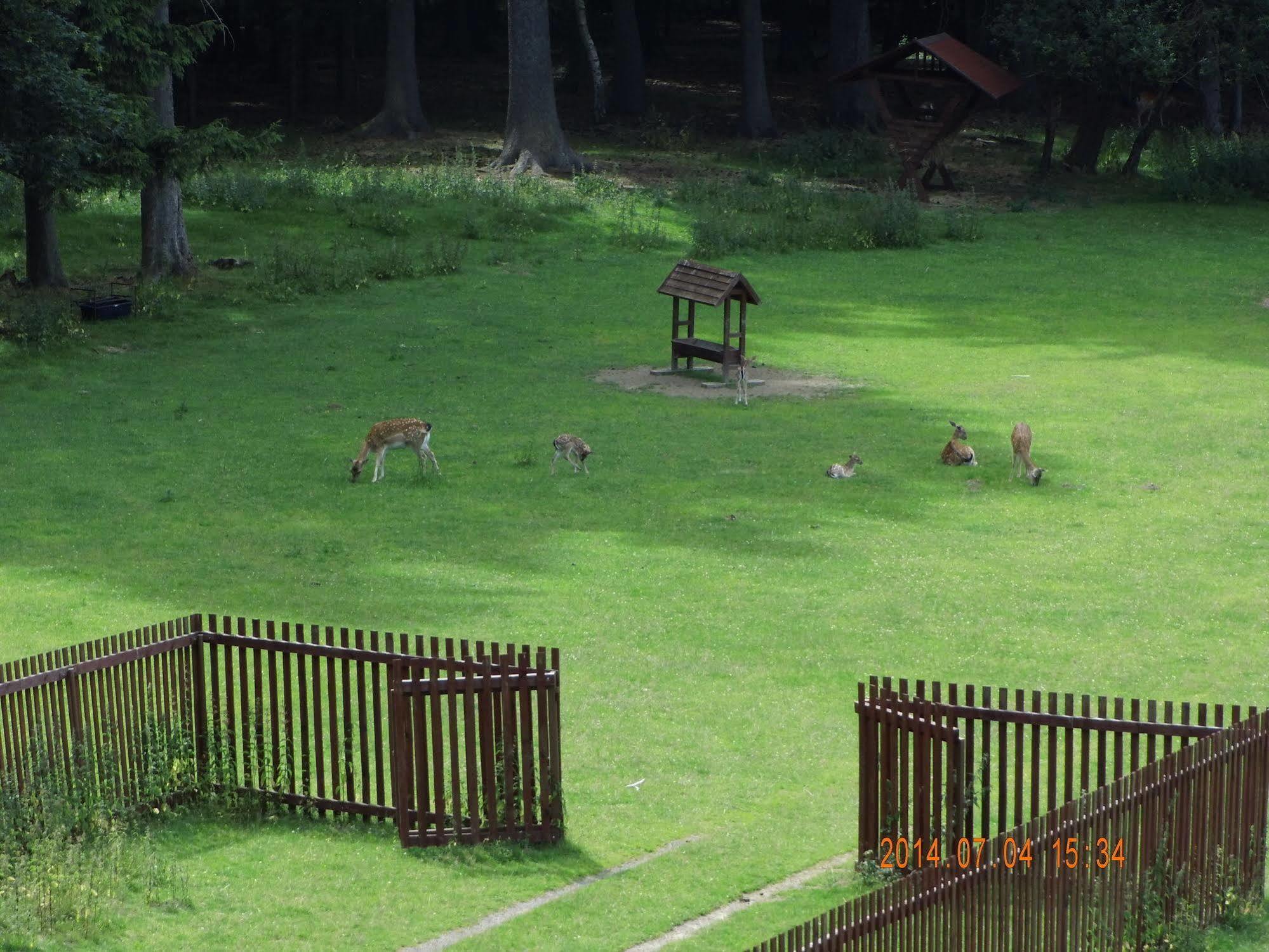 Pension Villa Berolina Mariánské Lázně Dış mekan fotoğraf
